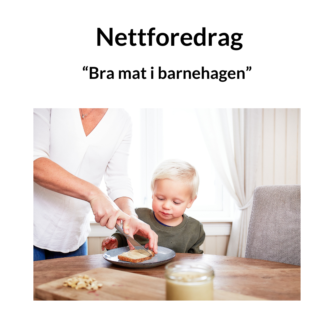 Nettforedrag om barnehagemat "Bra mat i barnehagen" 28. august 2025